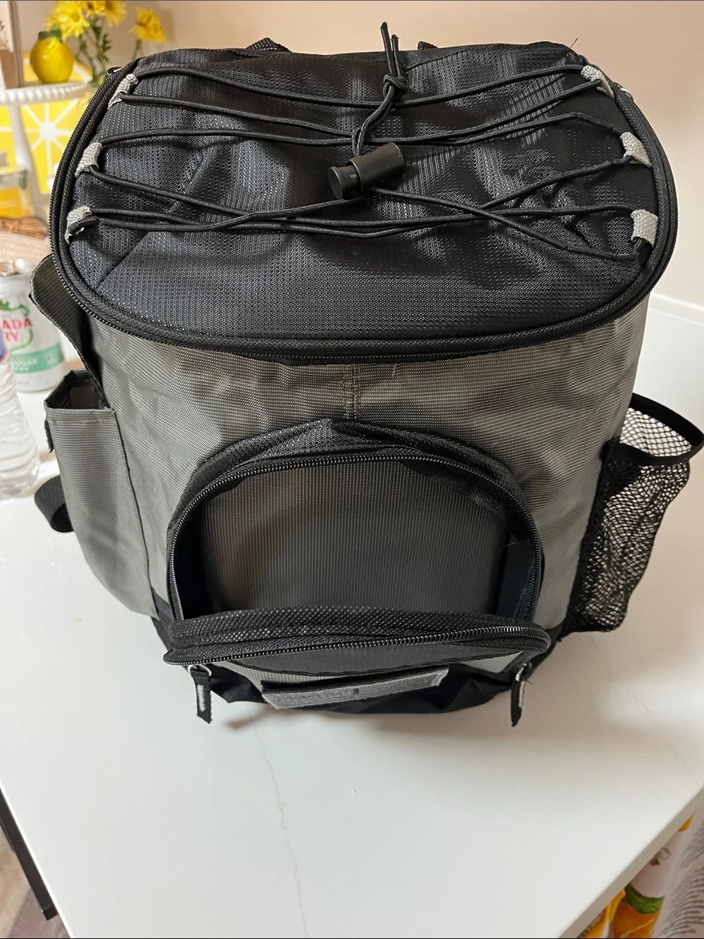 Backpack Cooler New With Tags